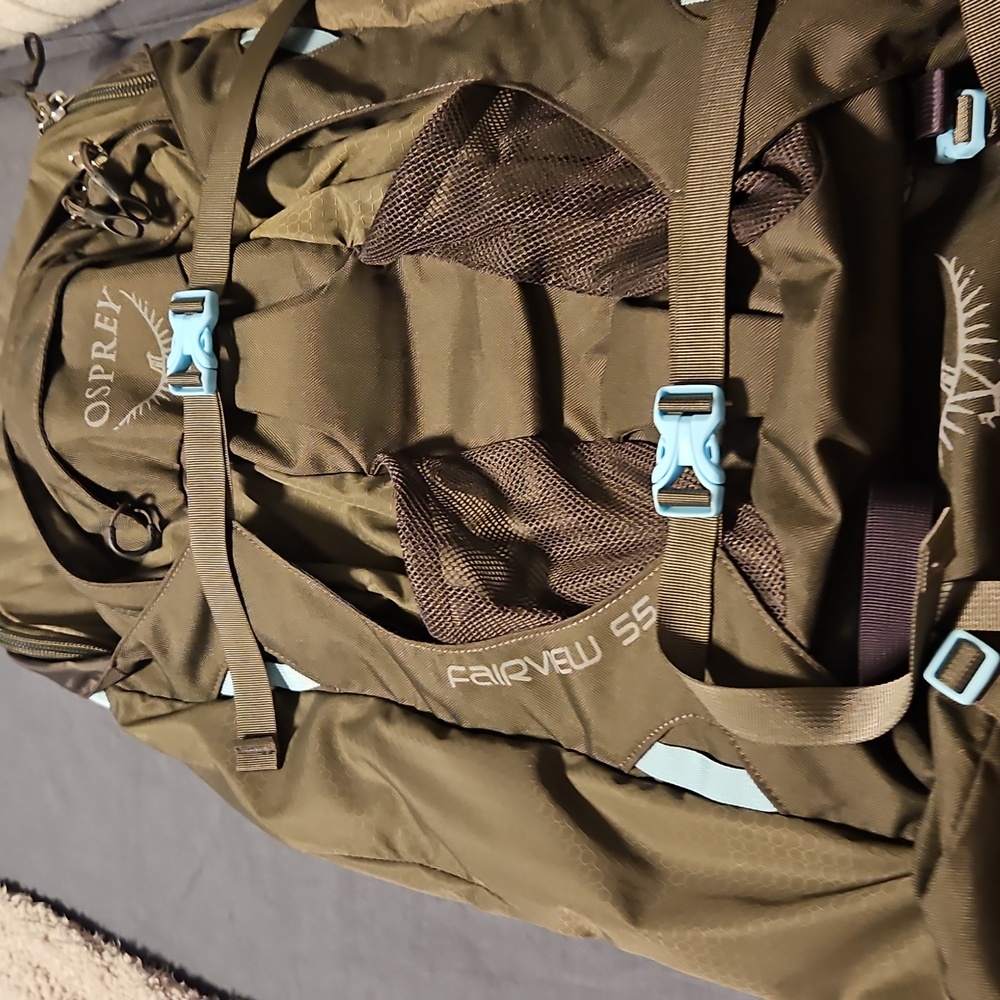 Osprey Forest Green Backpack with Light Blue Details